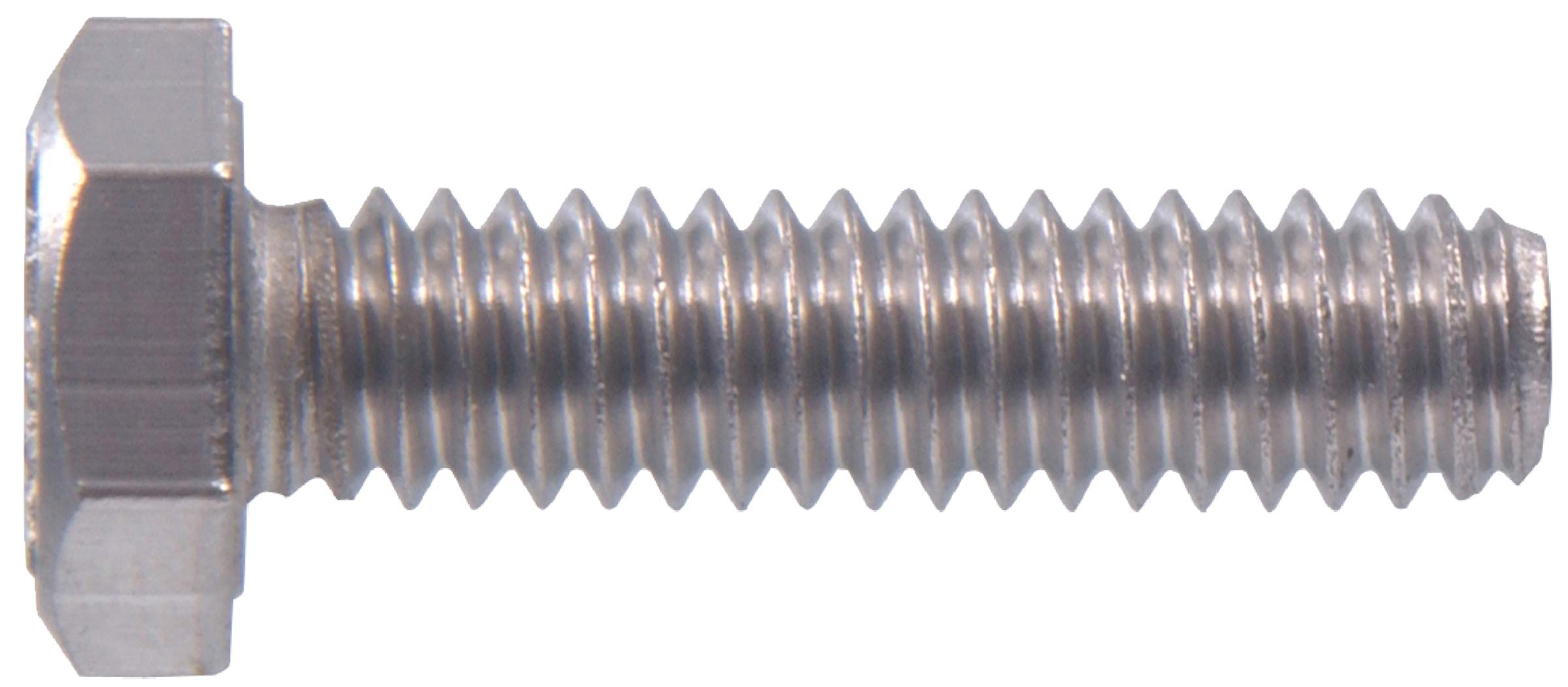 Amazon.com: Hillman 831487 1/4 X 1-Inch Stainless Steel Hurricane